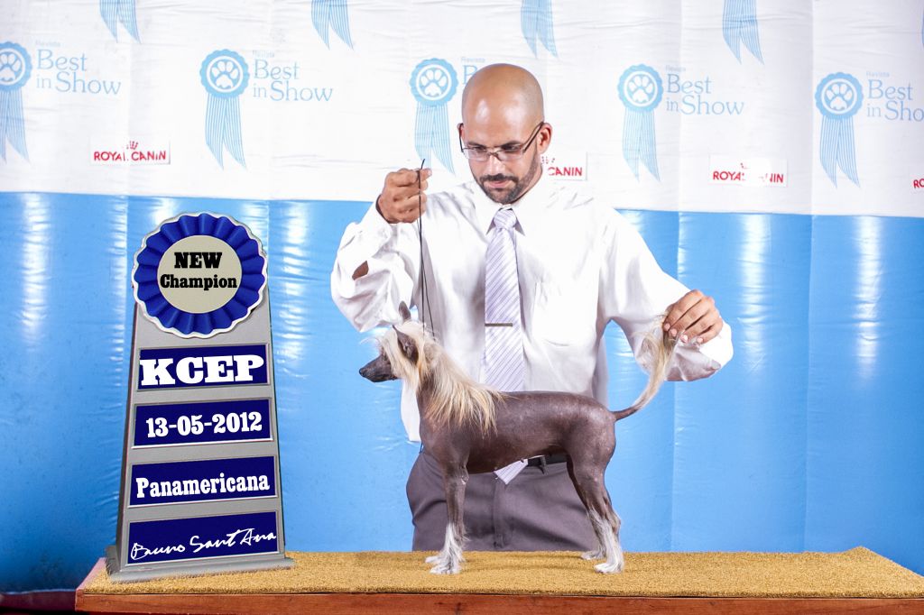 Vida Pelada do Baktaran