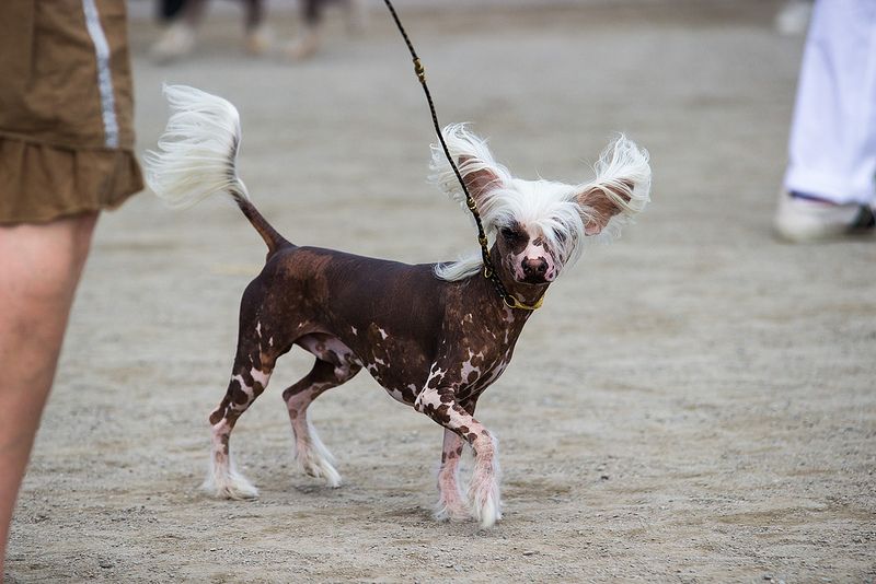 Passer-By Keep Laughing