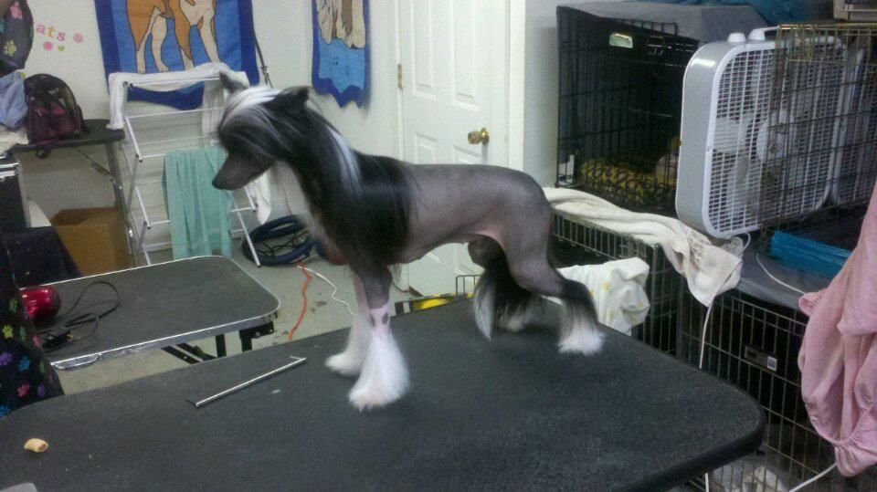 Presenting Talk Is Cheap