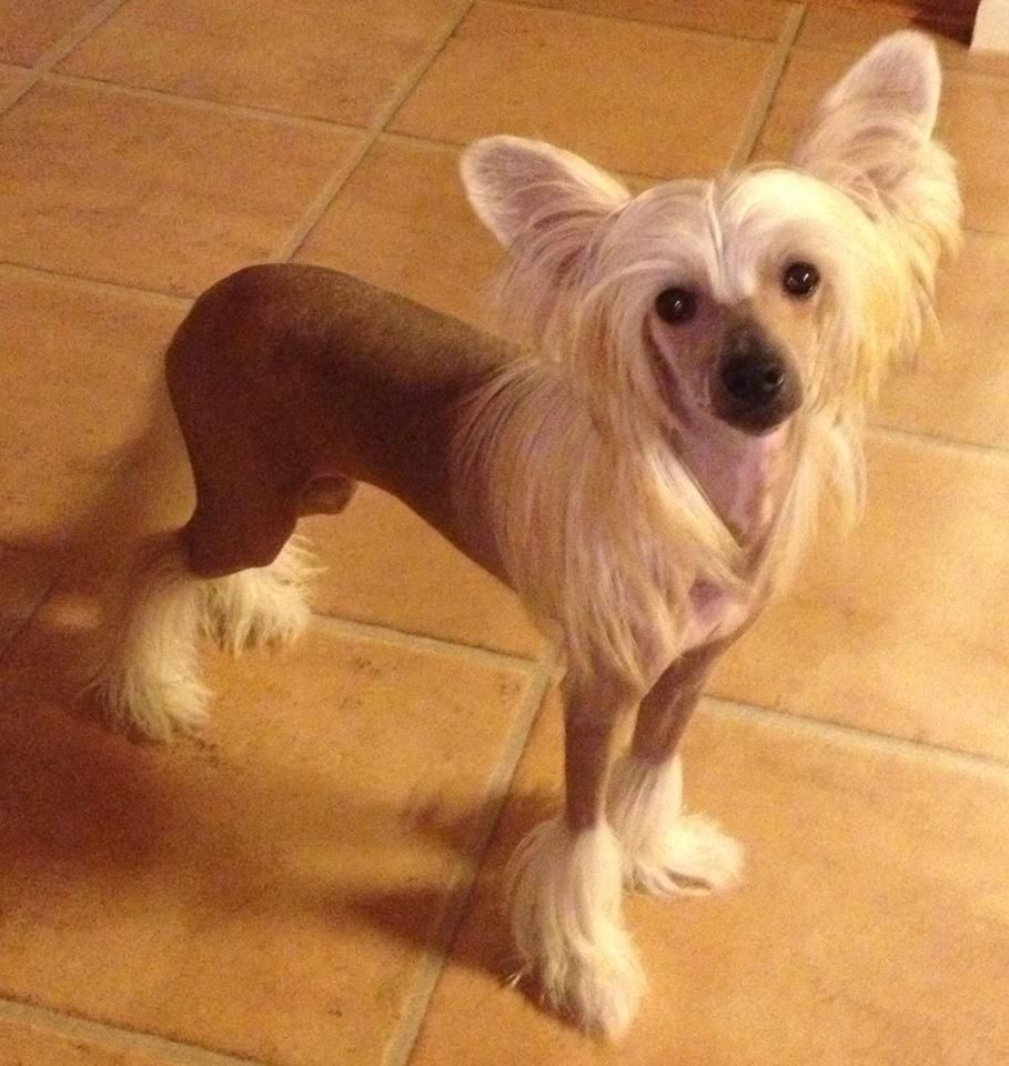 Bed-ma's Forever Love