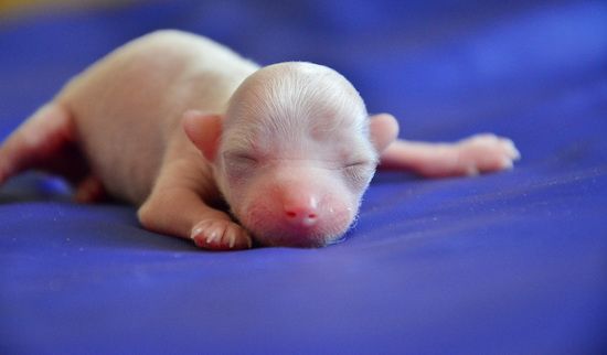 Elance Louange Vinni