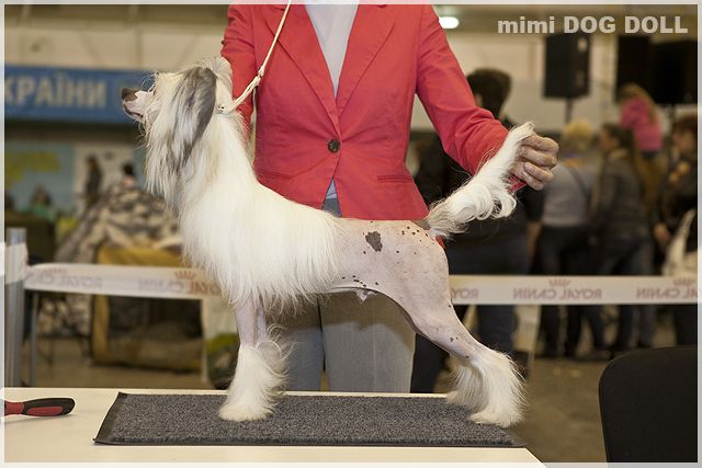 Mimi Dog Doll Tic Tac Toe