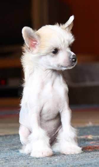 Close to You Quickly in Love