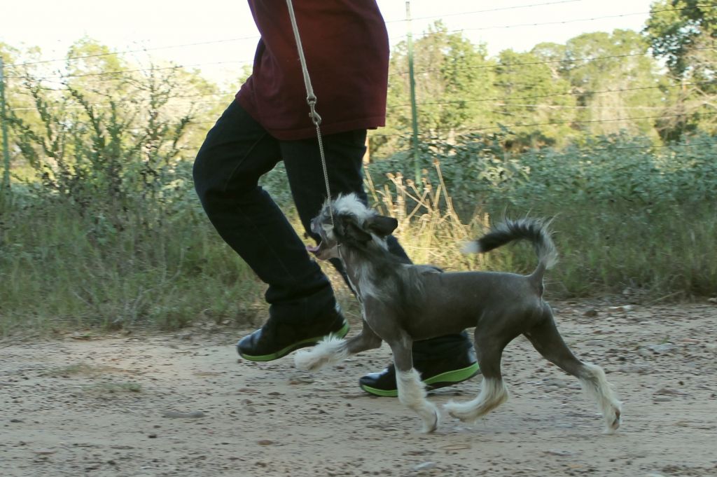 Dasha's Fifty Shades of Grey