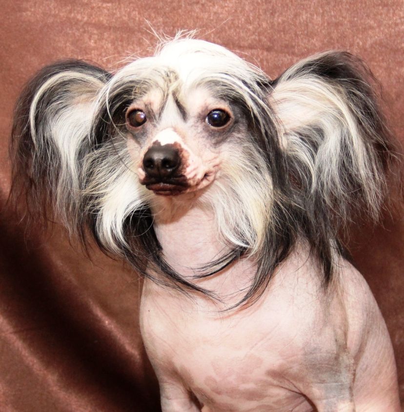 Edinstvenniiy I Nepovtorimiiy