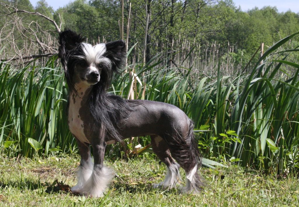 Valanyan I'm Hot You're Not