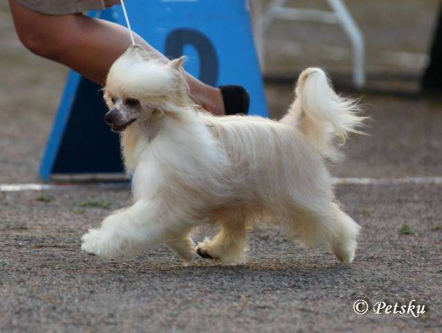 Valanyan Too hot for U