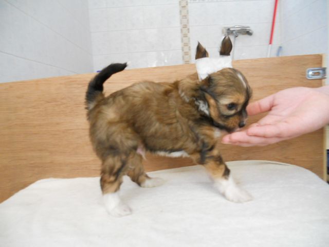 Magic'N Mystic One In Million