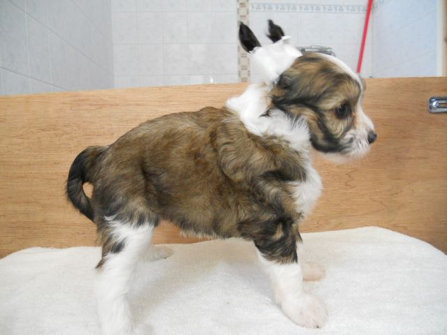 Magic'N Mystic Out Of Darkness