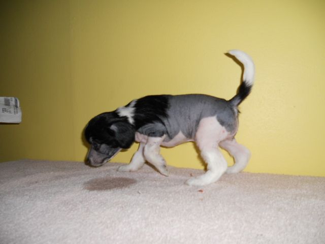 Magic'N Mystic Paranormal Activity