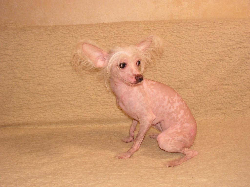 Ulyana Li Magi Mitau