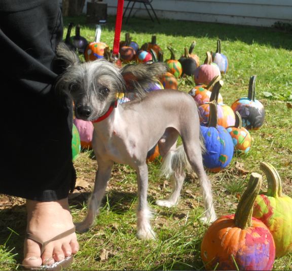 Spiritual Mythic Little Prince Romeo