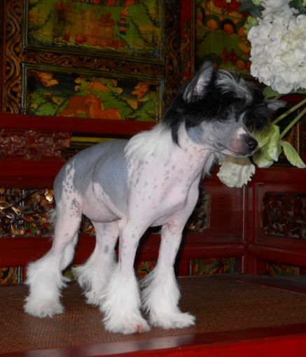 Mythic Lovinglife Jewel