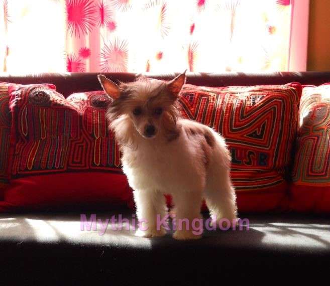 Mythic Cruising the Nile