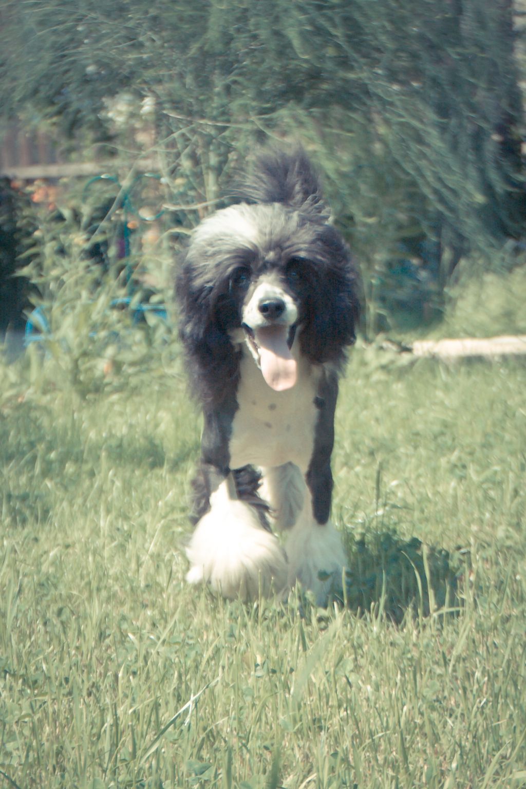 Loyds Odissei Tsar Itaki