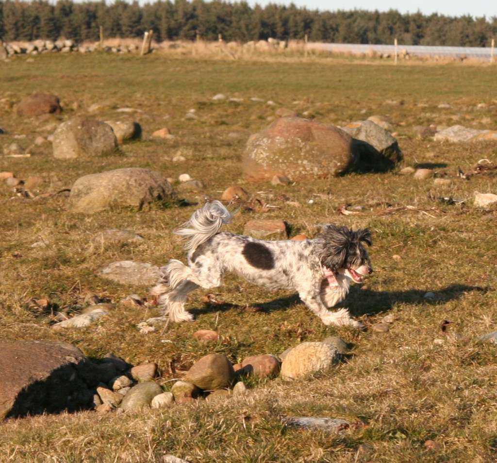 Absolute Souls She Will Be Loved