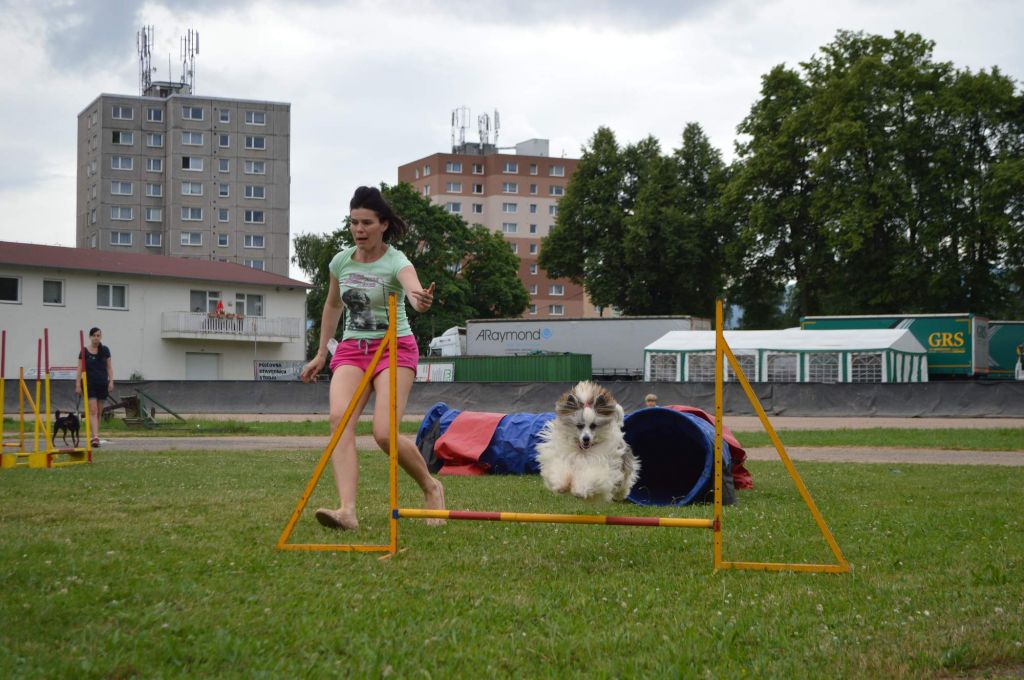 Ascanio Minas Gereas