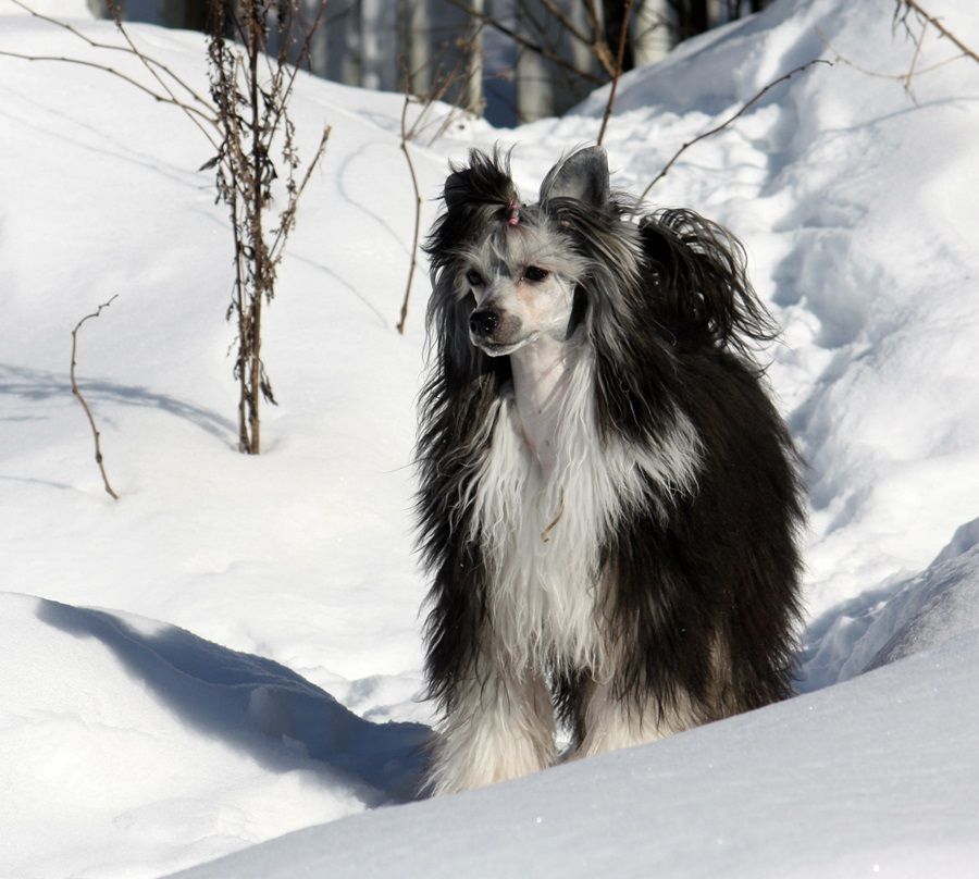 Droga Do Sukcesu Innowacja