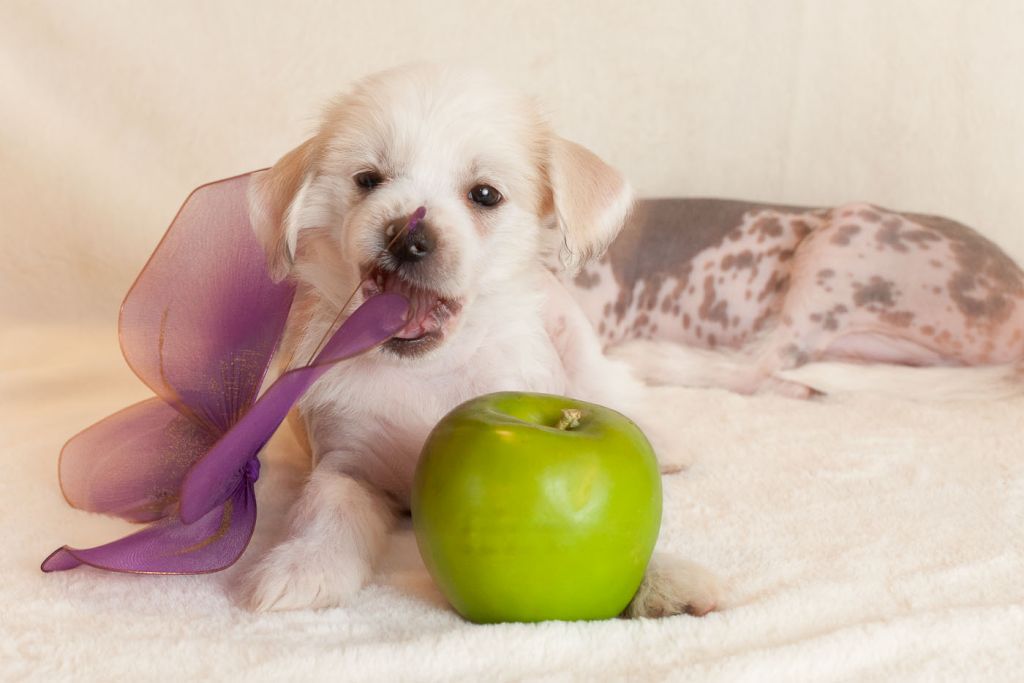 Unreal Krutbl Rad Hot Chili Pepper