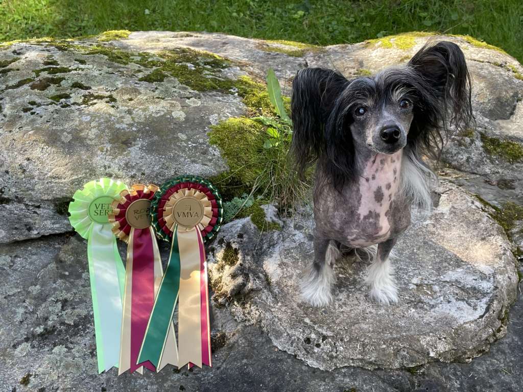 Maybell's Listen To Your Heart