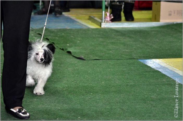 Elance Louange Rockin' Rio