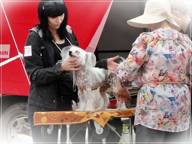 Elance Louange Rosy Sky