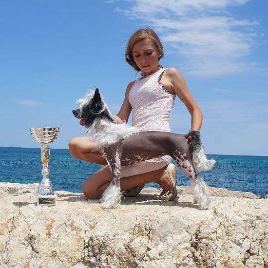 HCH.HJCH. Beautiful Show Girl from Goldhunter Ange