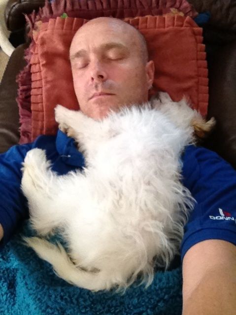 Moretonia Everso Dandy