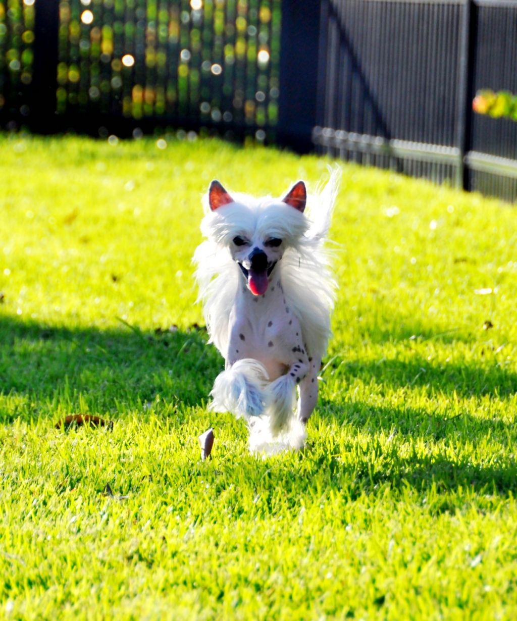 RCrested call me Donna Bella @ Chloe