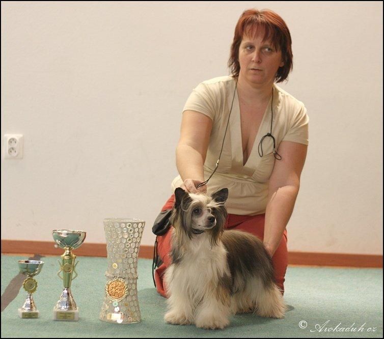 Amalthea z Jestrebiho kralovstvi