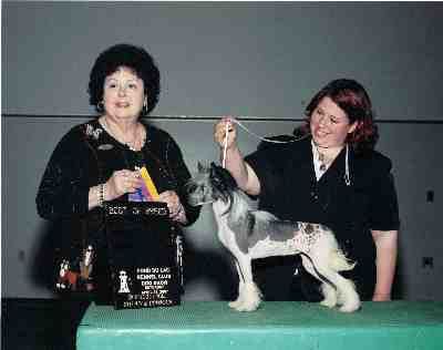 J-R'S twenty two calber by moa  