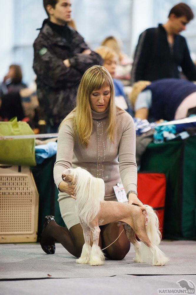 Favourite Of My Heart