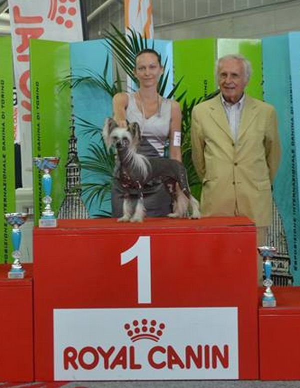 Pablito Poarott,  BIS junior