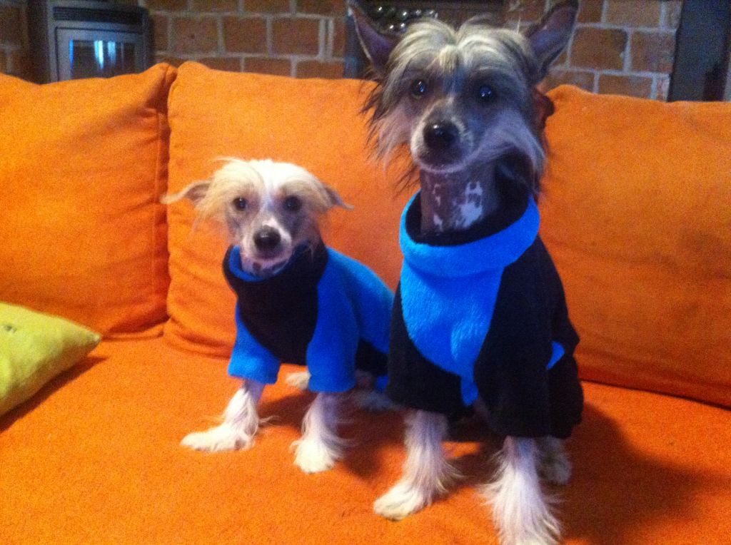 Benjamín z Kutských luk