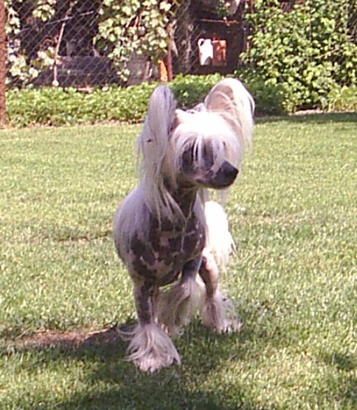 Kalandvadász Ursula