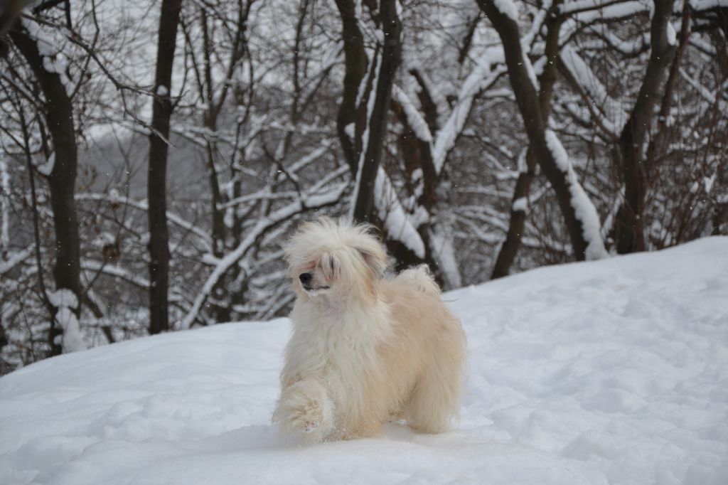 Delicia  Almas-Alana