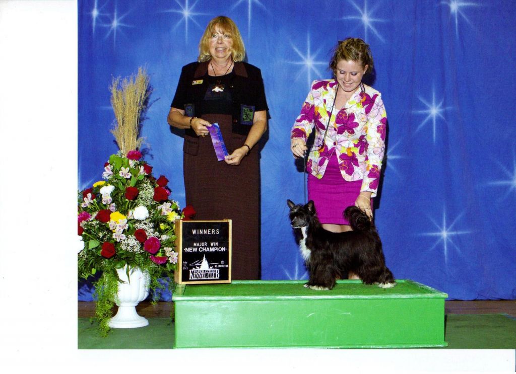 Edelweiss No Pictures No Proof