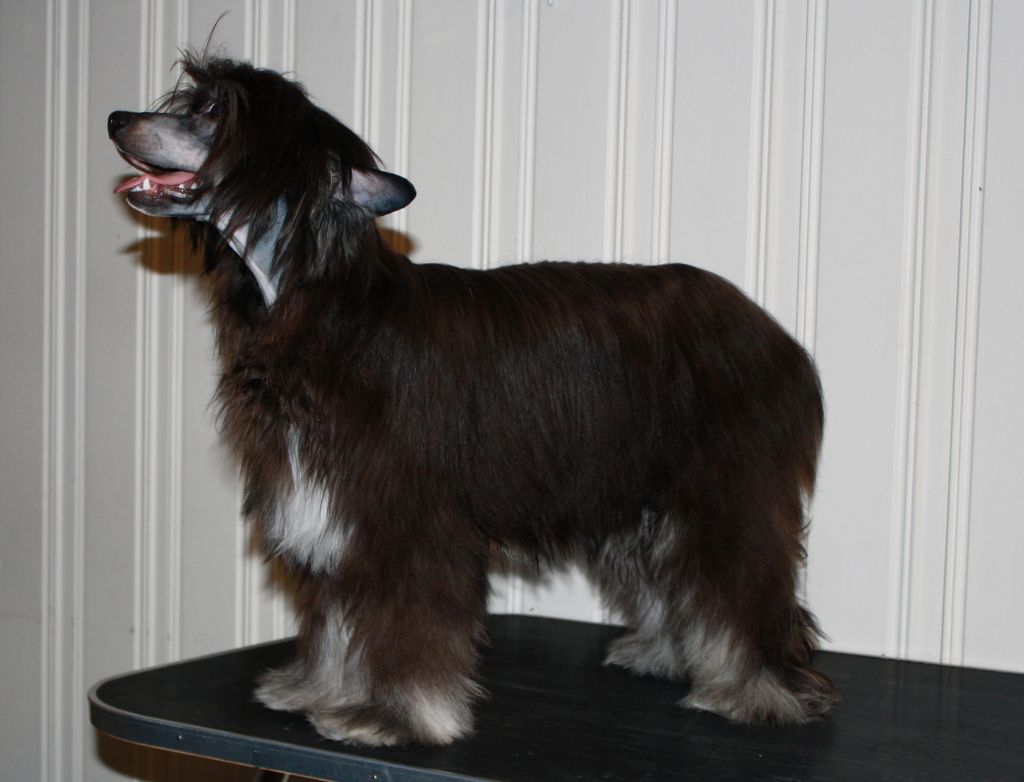 Love Bites  Hotter Then Hell