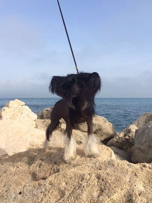 Oks Kompani Monika Belucci