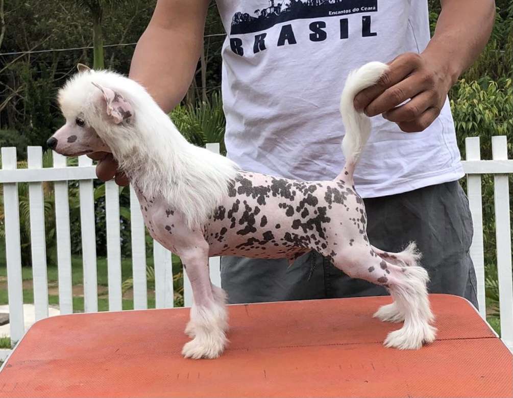 Lapinus There's an App For That