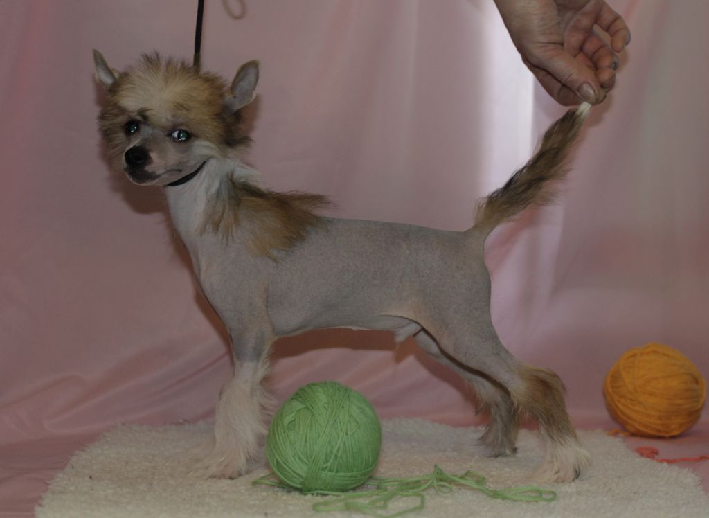 Vernisazh Mari Secret Fortuna