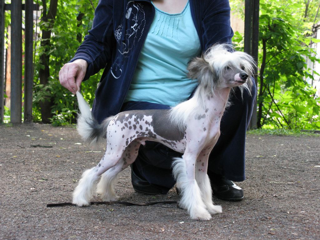 Vernisazh Mari Chang