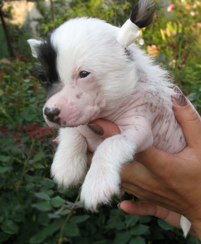 Melanies Rerity Ofeliya