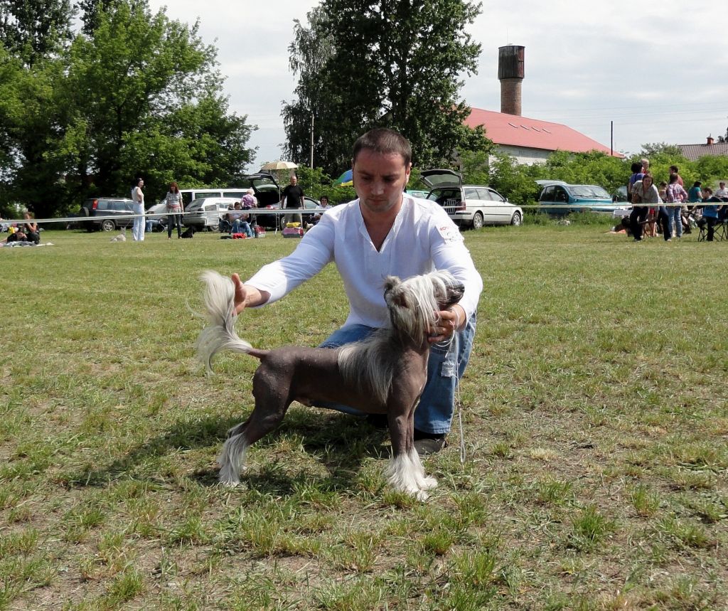 Finik Star Bonus Westtai