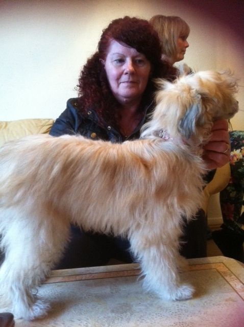 Konishiki L'Enfant Sauvage