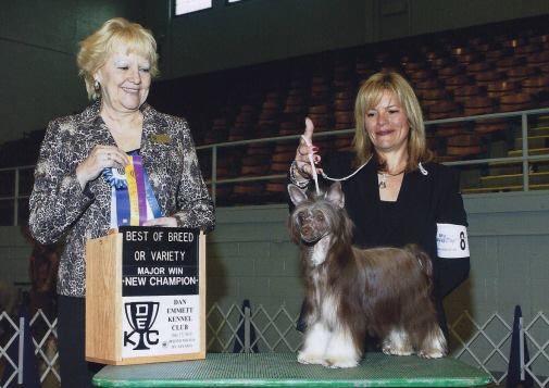 I'm Too Sexy Modny Drobiazg