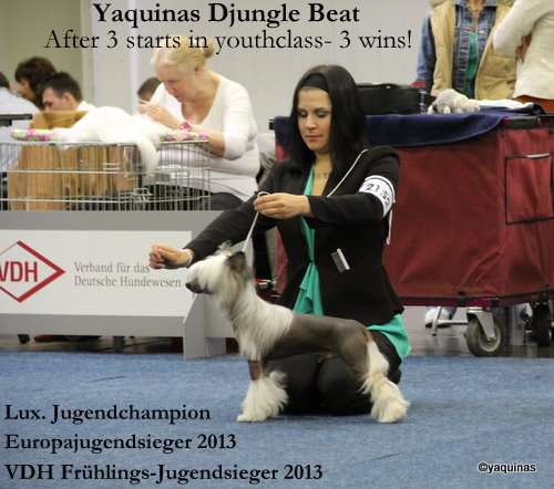 Yaquina's Djungle Beat