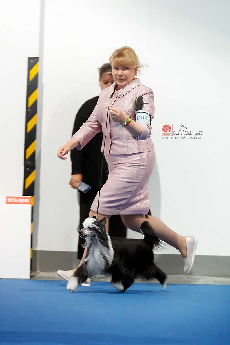 Charisma-Sterling Never Say Never