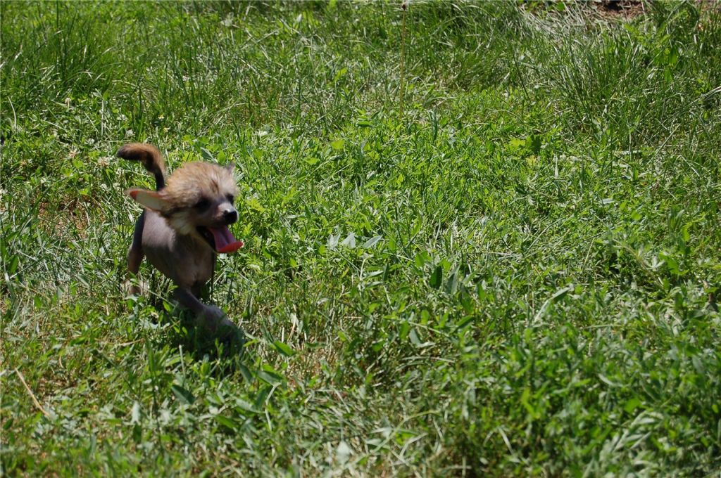 Yuna Ledy East Sharm