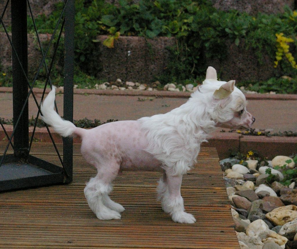 With Glitz von Shinbashi